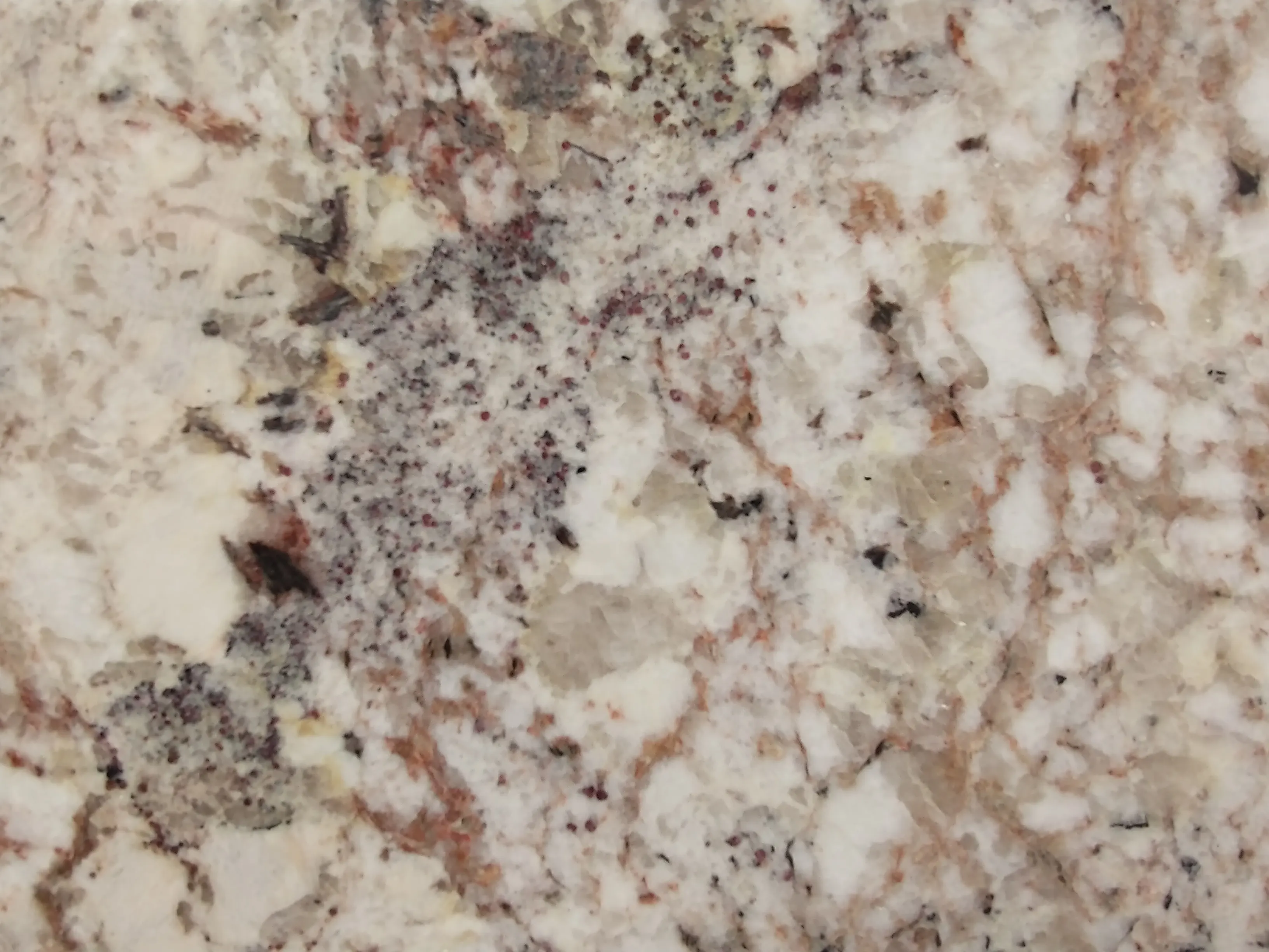 Dark Veined Granite — Granite sample